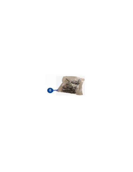 Tornillos skimmer gris 06824G5000