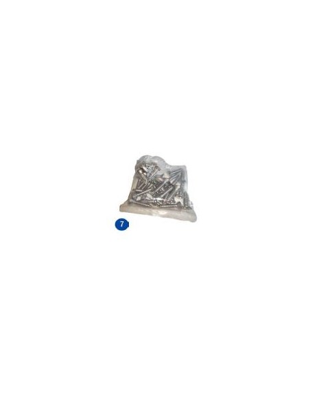 Tornillos skimmer composite 20890G0400