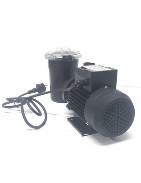 Conjunto motor bomba para depuradora de arena Gre FS400