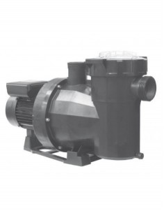 Bomba autoaspirante piscina victoria plus silent