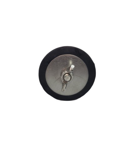 Tapón de invernaje 2" para skimmers de piscina